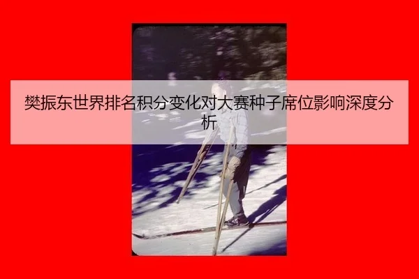 fan-zhen-dong-shi-jie-pai-ming-ji-fen-bian-hua-dui-da-sai-zhong-zi-xi-wei-ying-xiang-shen-du-fen-xi-2-781.jpg
